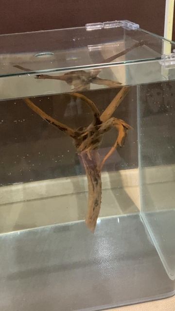 Запуск креветочника. Часть 3