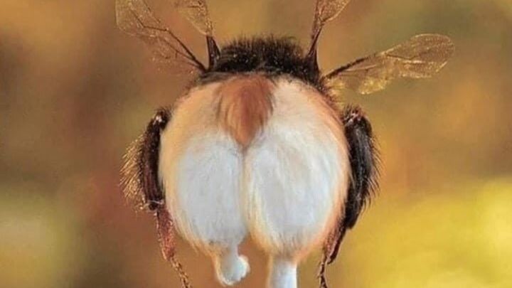 Забил гол на 94й минуте, счастью нет предела!😆