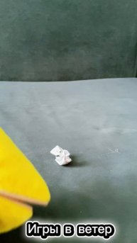 Дуй-подуй❤️