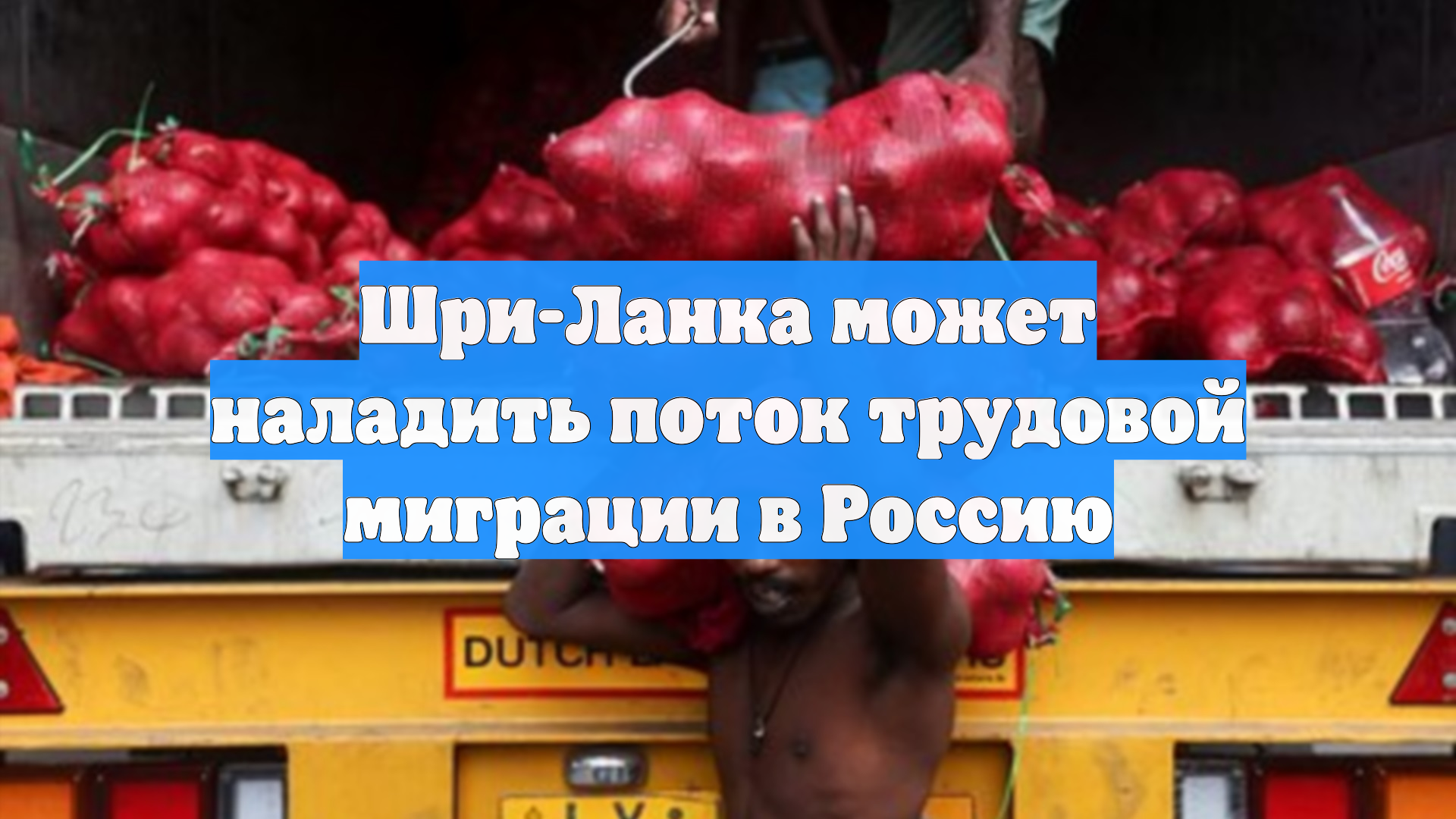 Шри-Ланка может наладить поток трудовой миграции в Россию
