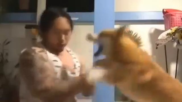 Играл и прoиграл