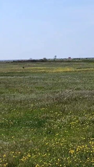 первая 8 соток0.mp4