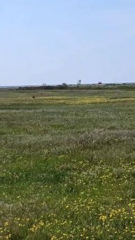 первая 8 соток0.mp4