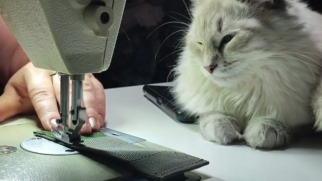 Видеовизитка - Варвара Черникова и Швейно-вязальные войска. #ШВВ - 2025