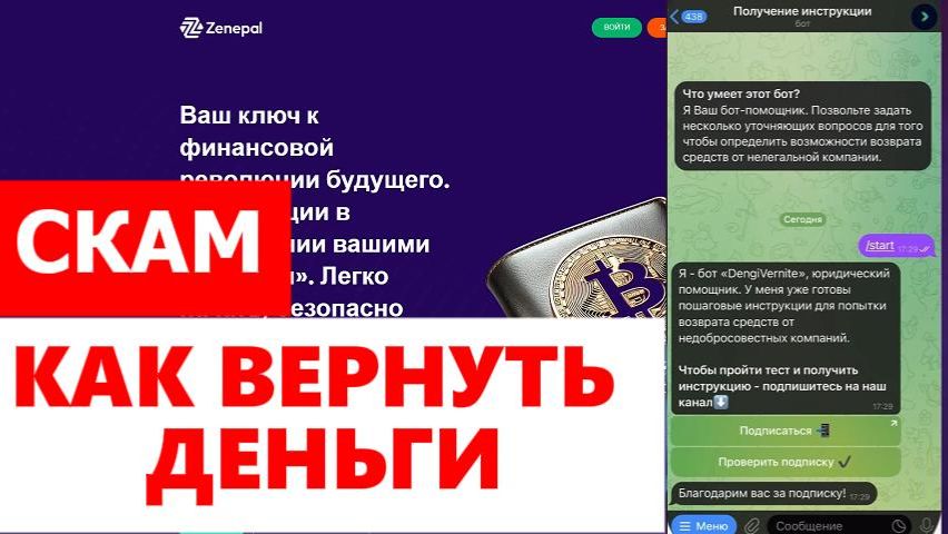 Zenepal (zenepal.com) обзор кошелька, отзывы. Это развод?