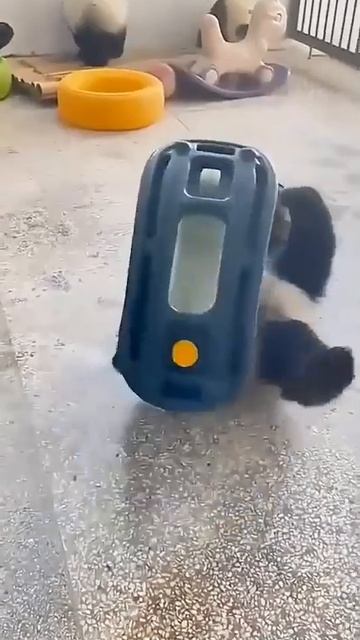 Видео от МЯУтаверс – как метавселенная, но с котами