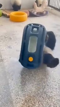 Видео от МЯУтаверс – как метавселенная, но с котами