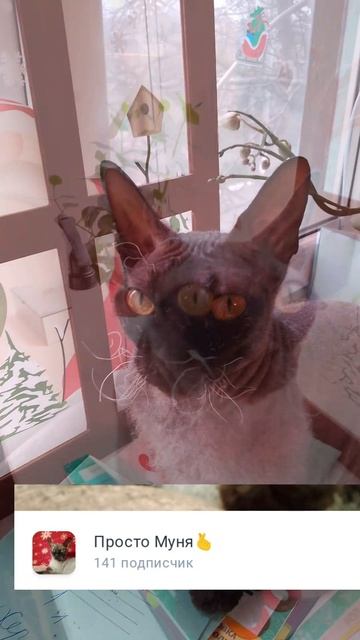 26 человек подписались, спасибо!)