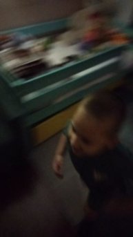 Первая встреча с домоголовым