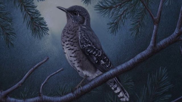 Видеооткрытка Время мужества. Димитриевские чтения.