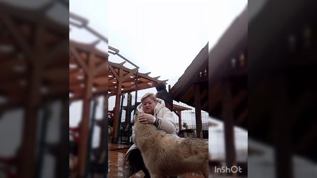 письмо себе.mp4