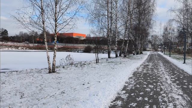 Прекрасный день в зимнем парке