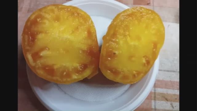 Каталог томатов на 2026 год. Часть 5.  СКИДКИ на СЕМЕНА!  г. Киров  т. 89229284031