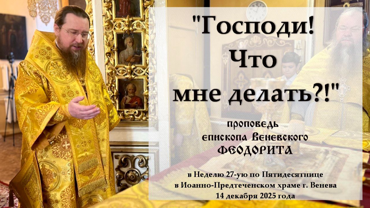 "Господи! Что мне делать?". Епископ Венёвский Феодорит.