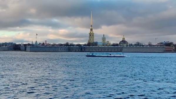 Величественный Троицкий мост ✨ #петербург #путешествия #мостыпетербурга