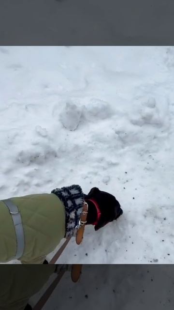 Девочка Вива. Показываю её в переделанном комбинезоне. Думаю, что второй ещё больше надо удленнить.