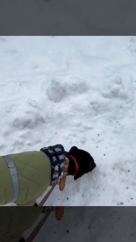 Девочка Вива. Показываю её в переделанном комбинезоне. Думаю, что второй ещё больше надо удленнить.