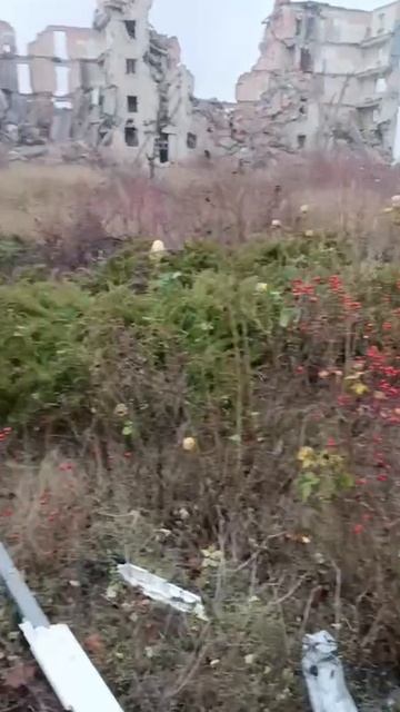 Бахмут Контраст жизни.