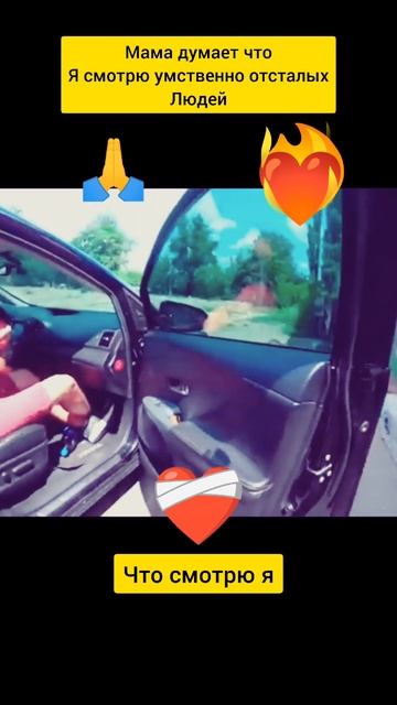 ЕСЛИ СЧИТАЕШЬ ЧТО ЭТОТ БЕЛЬЧОНОК МИЛЫЙ И ЛАЙФТУДЕЙ ЛЕГЕНДА ТО ПОДПИШИСЬ #животное #спасениеживотных