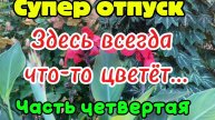 Супер отпуск с детьми Часть четвертая. Здесь всегда что-то цветёт...