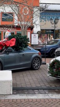 Audi family встреча в outlet village белая дача