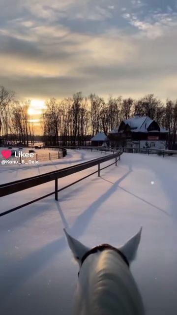 Совсем скоро новый год :))