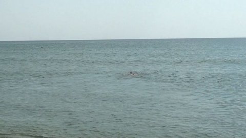 6.Отпуск 2020. КРЫМ. Коса Беляус. Крымские Мальдивы.