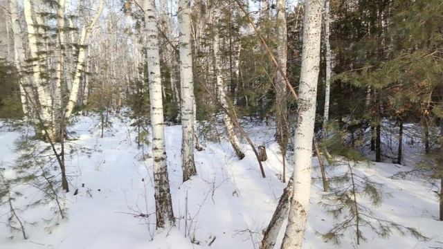 Зима, тушенка с чечевицей.