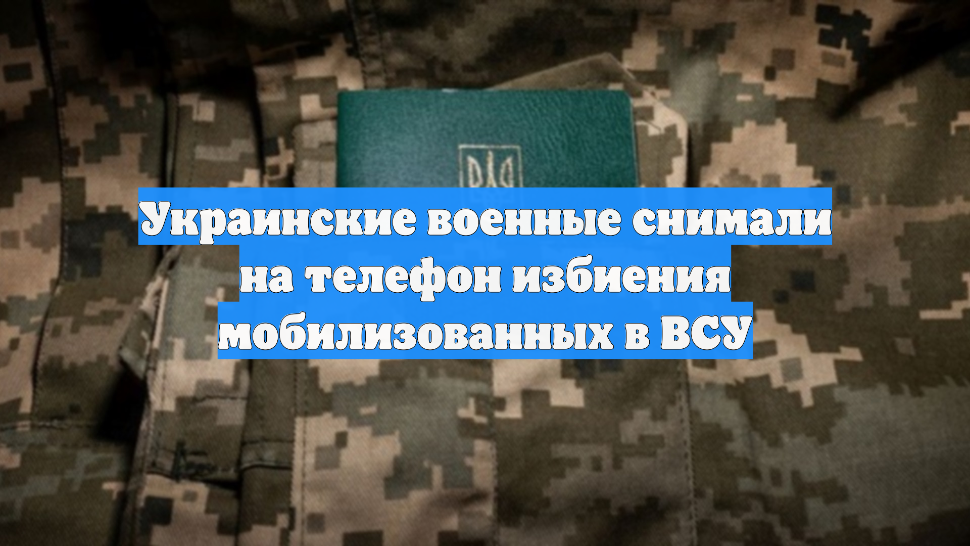 Украинские военные снимали на телефон избиения мобилизованных в ВСУ