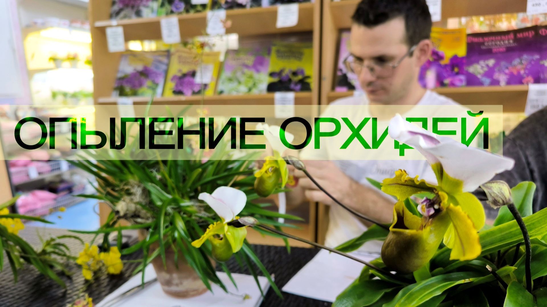 ДФ."Опыление орхидей на примере башмачка". Роман Горшков.