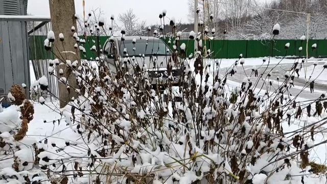 #первый снег в нашем городе