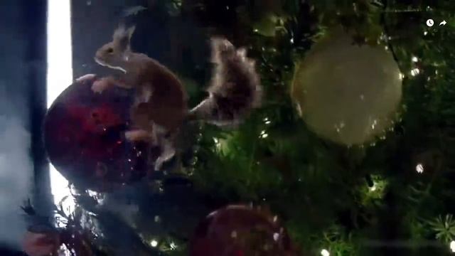 Новый Год - За селедкой

Назад