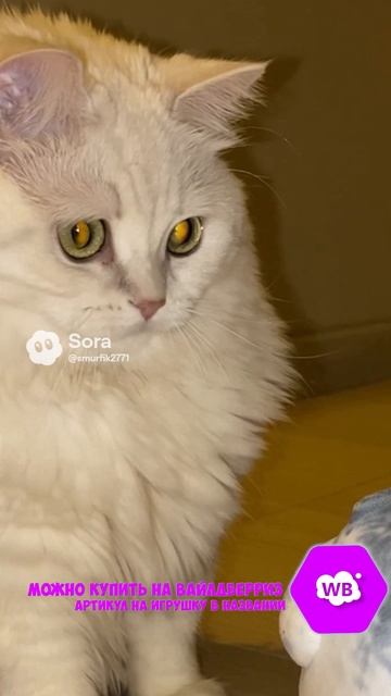 ТОК Артикул на ВБ: 193431345 #тюлень #тюлени #игрушки #мягкиеигрушки #sora #прикол #кот #котики