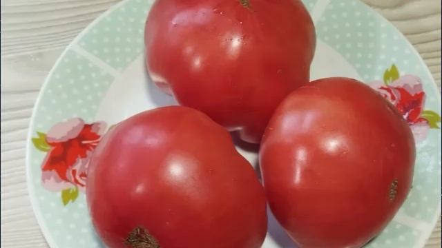 Минусинские сорта томатов. Новинки этого сезона.  СКИДКИ на СЕМЕНА! г. Киров  т. 89229284031