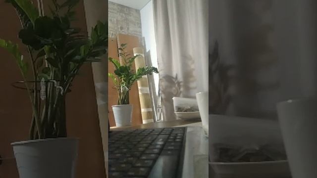 Фильм Проклятие плачущей