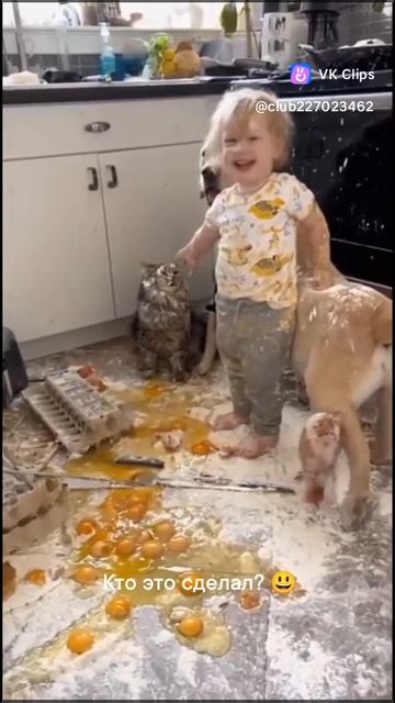 VID_20251214_052626_226.mp4