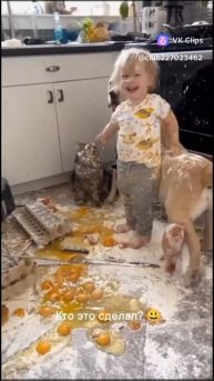 VID_20251214_052626_226.mp4