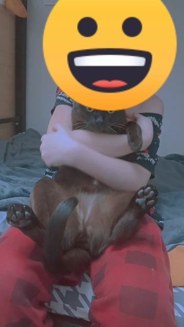 кот моей подруги 🐱🐱🐱