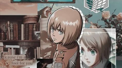 Элит про Армина