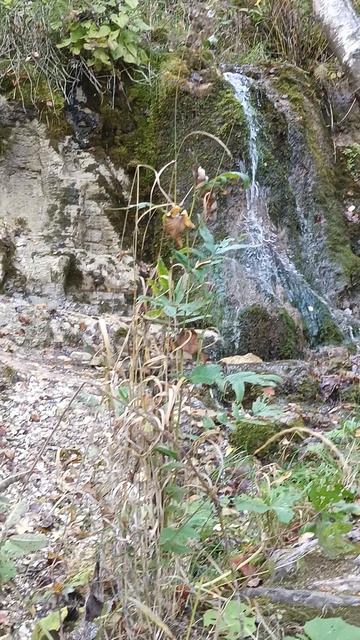 родник, правый берег Волги напротив г Волжск РМЭ сентябрь 202