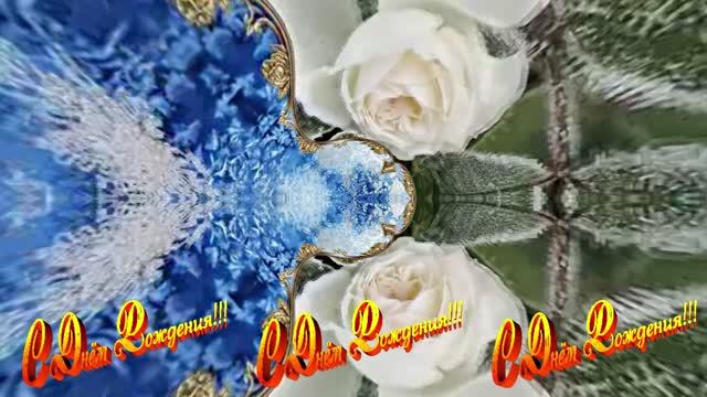 С Днём Рождения! Зимняя Сказка из Роз 3 от Киностудии Мудрого Кота Тимофея!!!