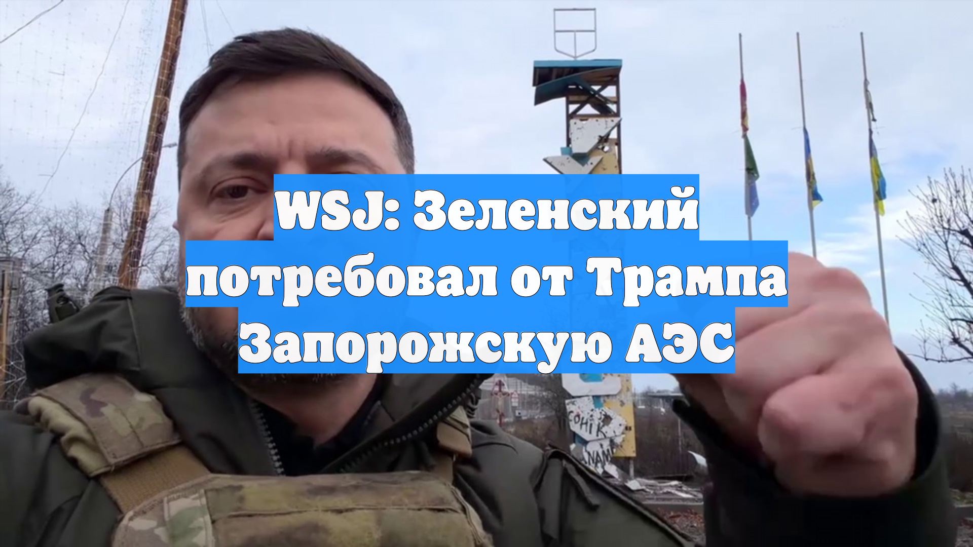 WSJ: Зеленский потребовал от Трампа Запорожскую АЭС