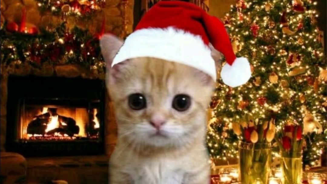 Буду бустить новичков часть:6 тг:@br_br_br_patapin4ik, айди 264077728 тгк:https://t.me/lenc4ikRUTUBE