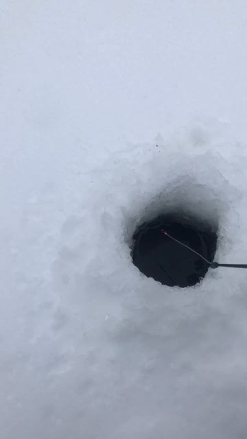 Первая зимняя рыбалка в Лысьве