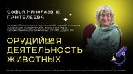Консультация по итогам лекции 8. ОРУДИЙНАЯ ДЕЯТЕЛЬНОСТЬ ЖИВОТНЫХ