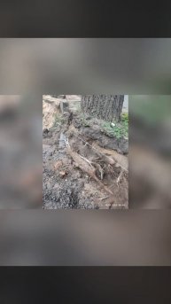 ода остановке