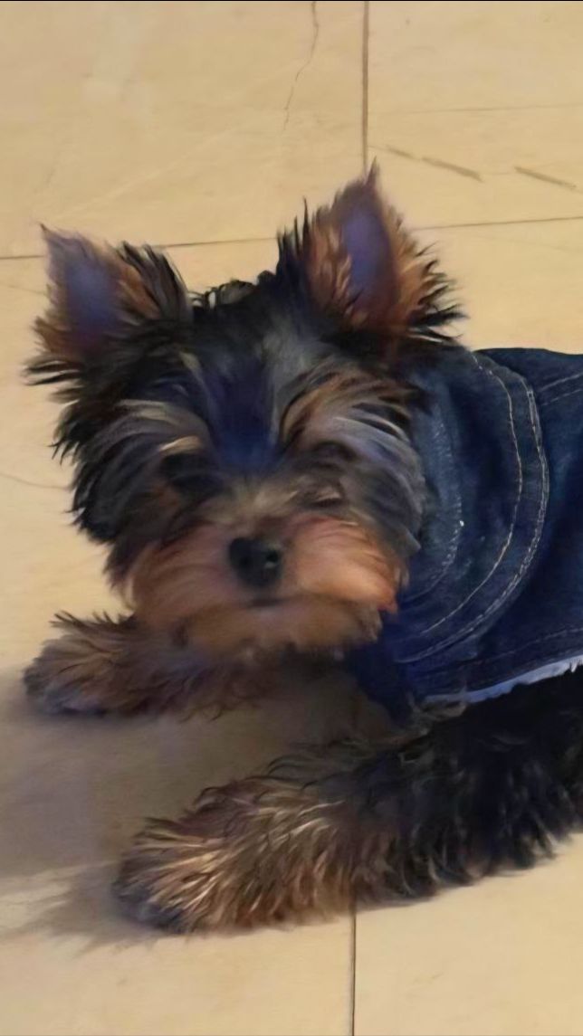 ГЕРДА_умница