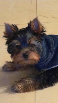 ГЕРДА_умница