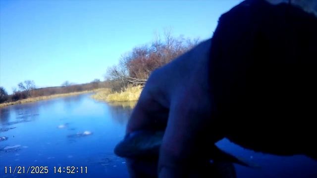 РЫБАЛКА НА РАТАНА. ОСЕНЬ 2025 года.