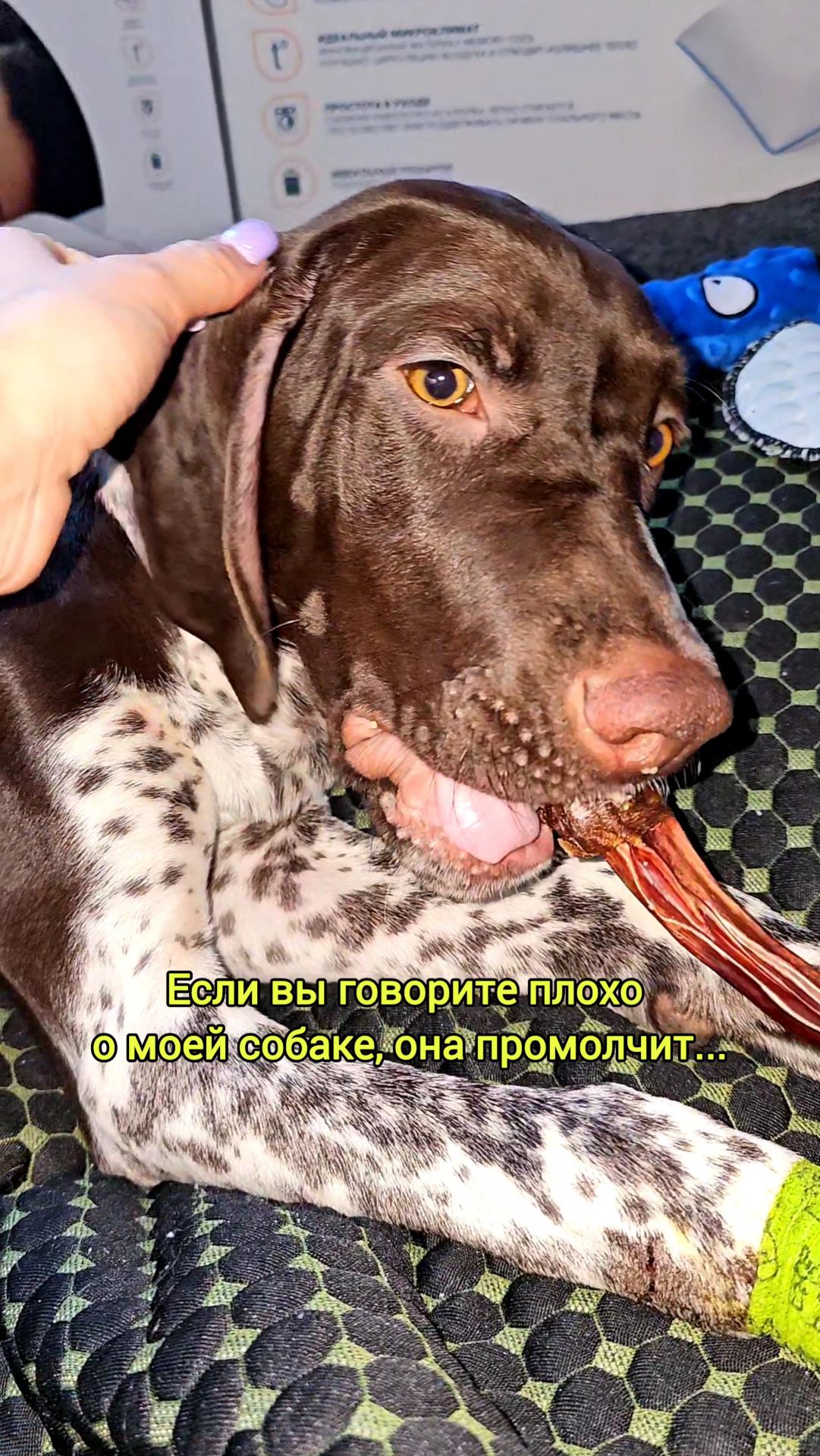 Так делать не нужно😈